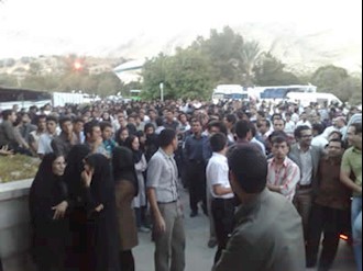 دانشگاه شیراز 