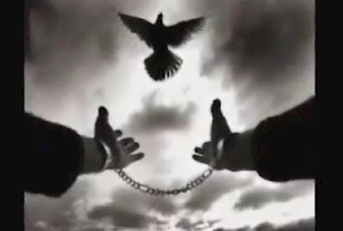 آزادی زندانی سیاسی