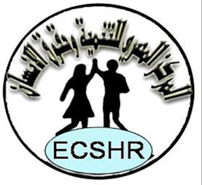 مرکز توسعه حقوق﻿بشر مصر 
