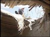 توپ باران کردستان عراق