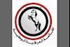 لیست العراقیه بر استحقاق خود مصر است