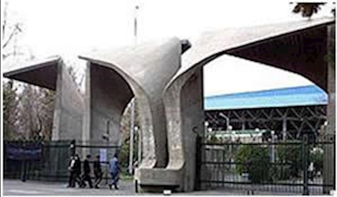 دانشگاه تهران