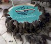 همایش ایرانیان مقیم خارج کشور