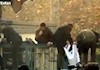 حمله مزدوران رژیم به  سفارت انگلیس در تهران