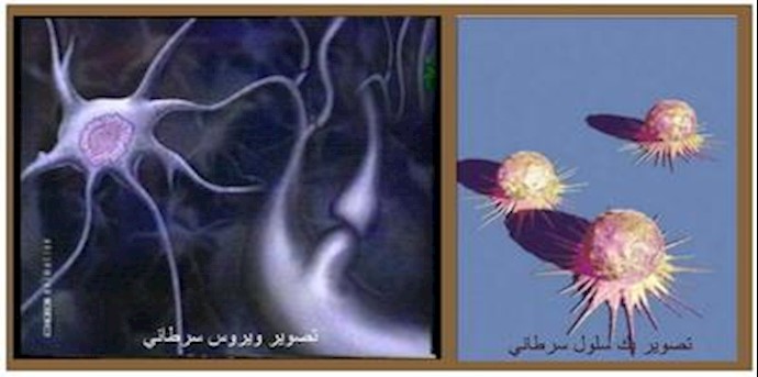 سلول  و ویروس سرطان