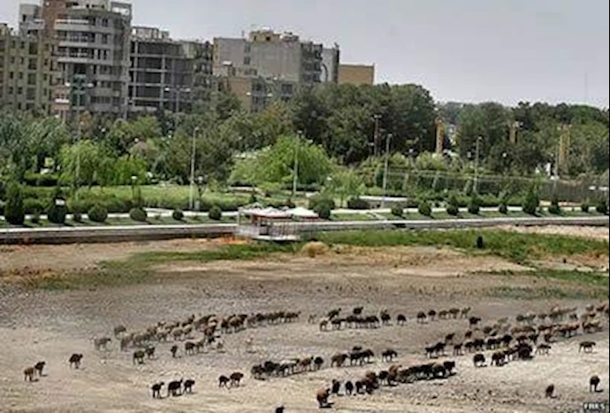 رودخانه زاینده رود، از بزرگترین رودخانه‌های ایران، در معرض خشک‌شدن