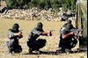 تروریسم- آرشیو
