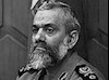 پاسدار محمدرضا نقدی  