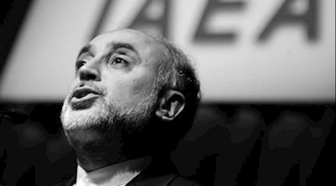علی اکبر صالحی معاون روحانی رئیس جمهور رژیم