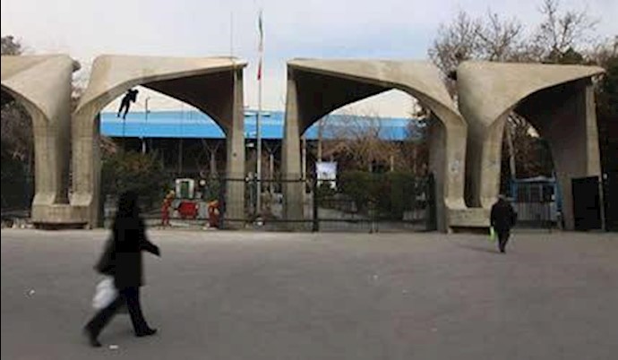دانشگاه تهران
