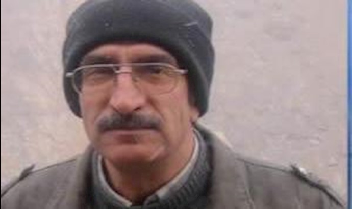 محمدرضا پورشجری