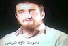 ماموستا کاوه شریفی