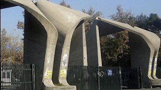 دانشگاه تهران 