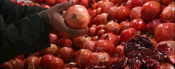 میوه شب یلدا