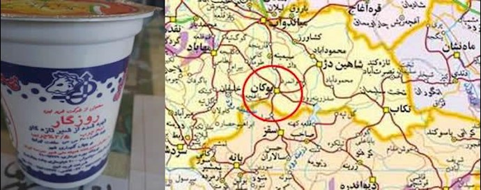 توزیع شیر تاریخ مصرف گذشته در بوکان