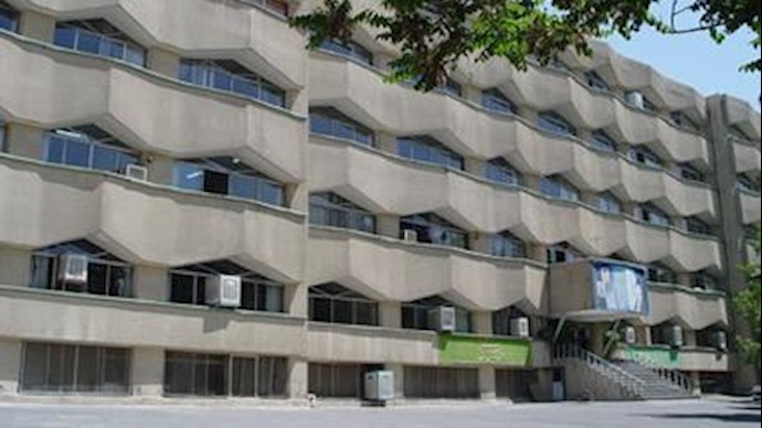 دانشگاه علامه