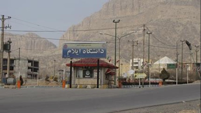 دانشگاه ایلام