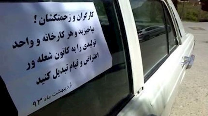 فعالیت جوانان در تهران ، کرج، همدان و جویبار
