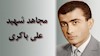 مجاهد شهید علی باکری