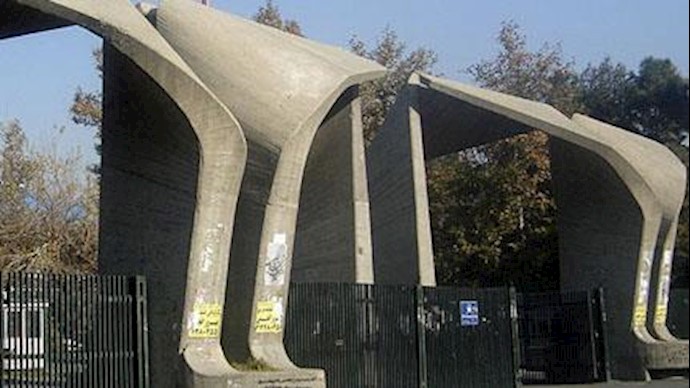 دانشگاه تهران
