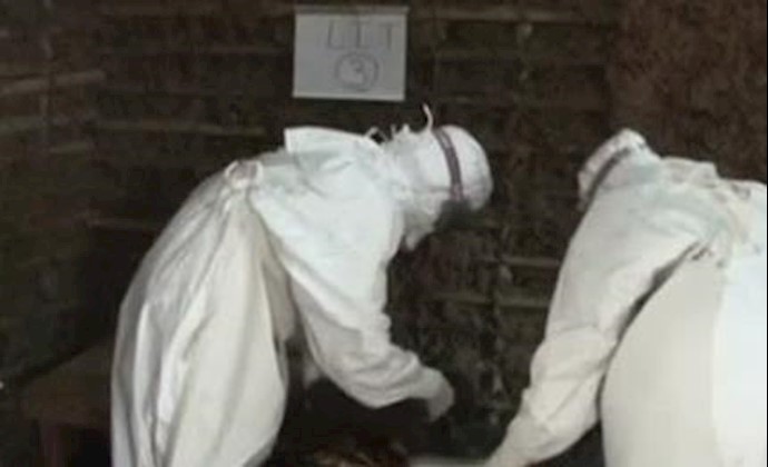 مبتلایان به ویروس ایبولا در قاره آفریقا 