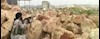 شمال شرقی حلب