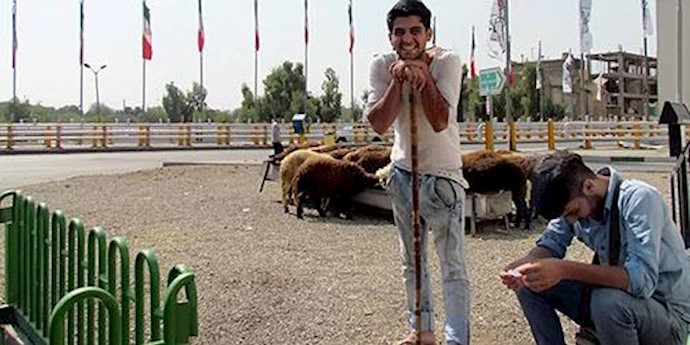 بیکاری جوانان در تهران