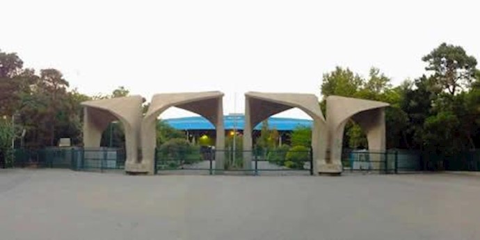 دانشگاه تهران