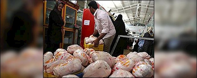 مغازههای فروش گوشت مرغ