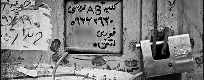 فروش کلیه در ایران