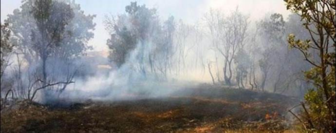 آتش‌سوزی در مناطق کردستان