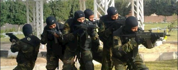 نیروی ویژه مصر