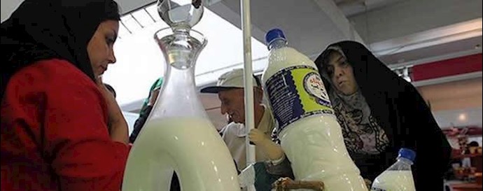 روحانی شیر را هم از سبد غذای مردم ایران ربود 