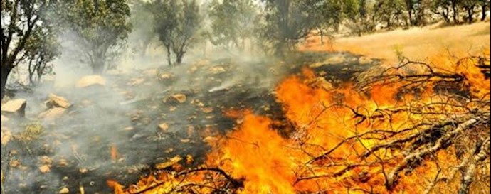 آتش سوزی جنگلهای مرز سیاگویز در بانه 
