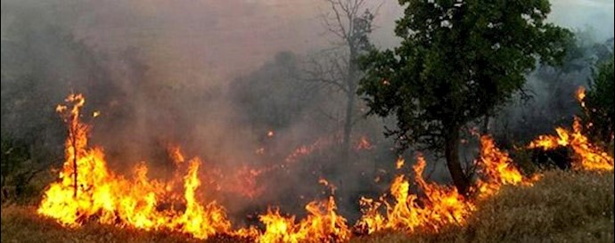 آتش‌سوزی که در ارتفاعات منطقه دربند خیزان در گيلانغرب
