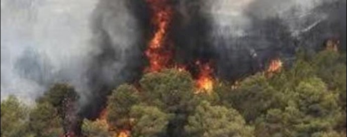 آتش سوزی در جنگلها و مراتع پلدختر 