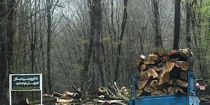 جنگلهای شمال ایران