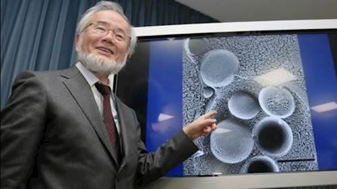 برنده جایزه پزشکی نوبل در سال 2016 میلادی به «یوشی‌نوری اُسومی از ژاپن تعلق گرفت