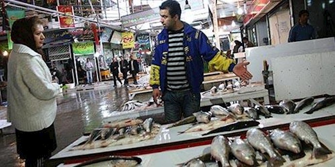 بازار ماهی فروشان ماهی در ساری - آرشیو