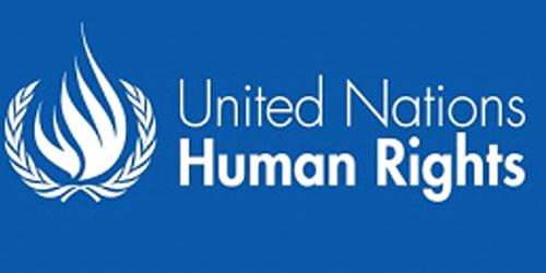 گزارشگران ویژه سازمان ملل متحد