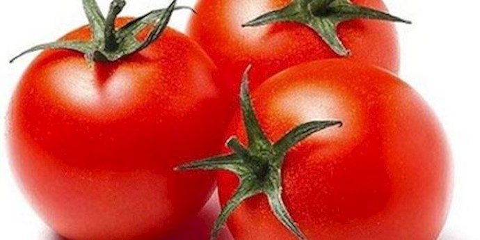 دو برابر شدن قیمت گوجه فرنگی
