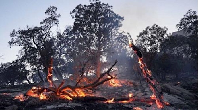 آتش سوزی جنگلها در استان لرستان 