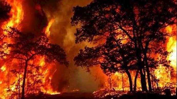 آتش سوزی در مراتع پاوه