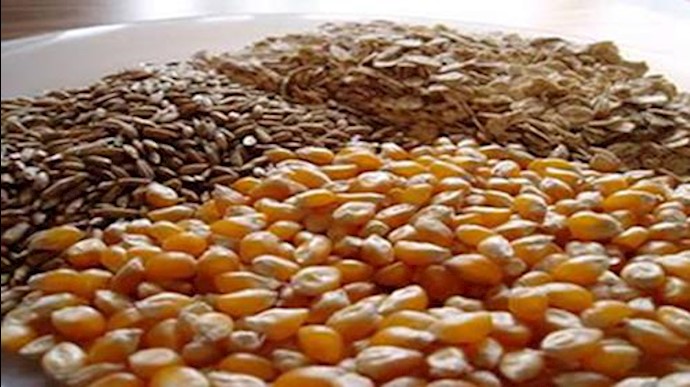 خوراک  دام و طیور