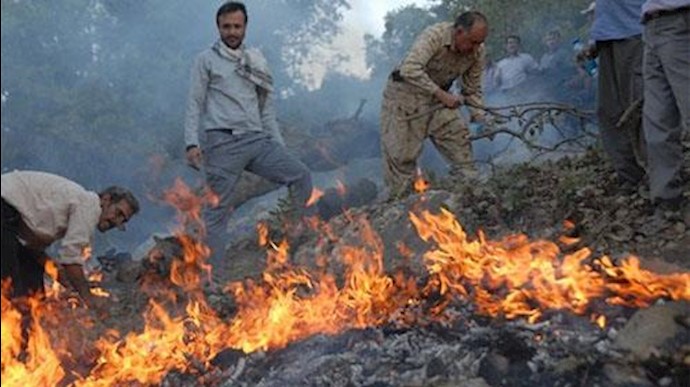 به آتش کشیدن مراتع جنگلی دالاهو توسط سپاه پاسداران