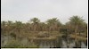 منطقه دشتستان