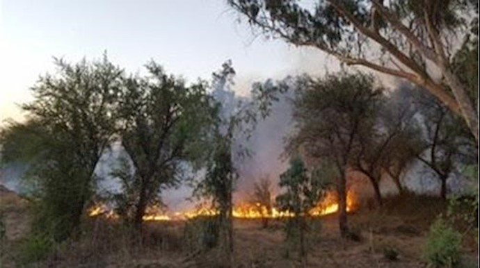 آتش‌سوزی در منطقه جوخانه چرام ‌