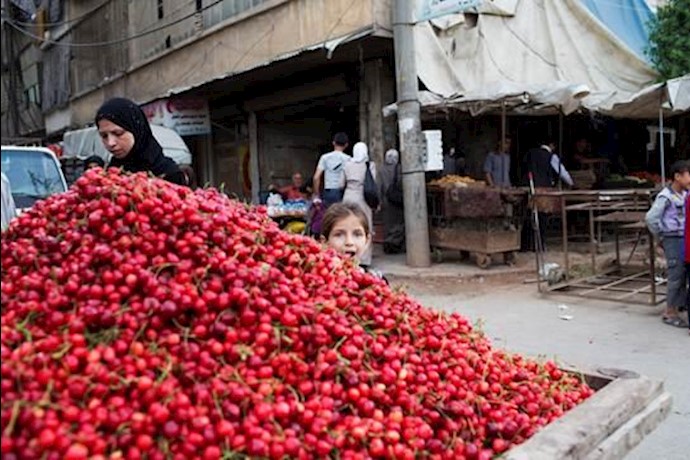 از سر گرفته شدن زندگی در مناطق مختلف حلب    