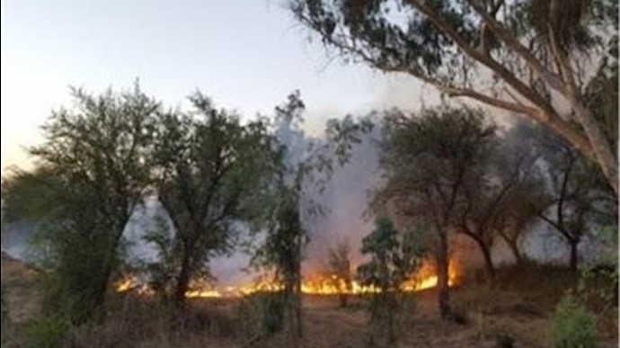 آتش سوزی مراتع و جنگلها - آرشیو