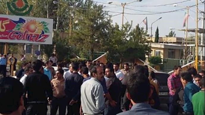 کارخانه روغن نباتی گلناز کرمان تعطیل شد